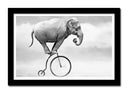Cuadro enmarcado negro elefante en bici antigua, hypster, equilibrista, blanco y negro