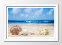 Cuadro enmarcado blanco paisaje conchas en la playa, arena mar, caracola