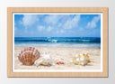 Cuadro enmarcado natural paisaje conchas en la playa, arena mar, caracola