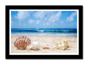 Cuadro enmarcado negro paisaje conchas en la playa, arena mar, caracola