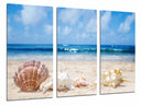 Tríptico paisaje conchas en la playa, arena mar, caracola