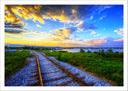 Lámina Paisaje Atardecer Natualeza, Vias de Tren