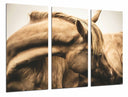 Tríptico animal caballo marron, naturaleza