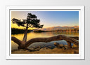 Cuadro enmarcado blanco Paisaje Naturaleza Lago Laguna Arbol Atardecer
