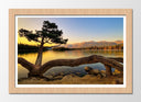 Cuadro enmarcado natural Paisaje Naturaleza Lago Laguna Arbol Atardecer