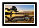 Cuadro enmarcado negro Paisaje Naturaleza Lago Laguna Arbol Atardecer