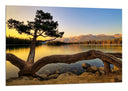Cuadro Paisaje Naturaleza Lago Laguna Arbol Atardecer
