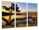 Tríptico Paisaje Naturaleza Lago Laguna Arbol Atardecer
