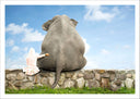 Lámina elefante con niña, amistad, decoracion, infantil