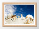 Cuadro enmarcado natural caracola en una playa, conchas,estrella de mar, arena