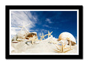 Cuadro enmarcado negro caracola en una playa, conchas,estrella de mar, arena