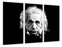 Tríptico Albert Einstein, ciencia, astrofisico, blanco y negro