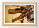 Cuadro enmarcado natural fosil dinosaurio t-rex, arqueologia, animal, salvaje