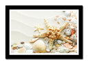 Cuadro enmarcado negro estrella de mar con conchas sobre la arena, playa, mar, caracola