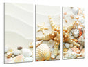 Tríptico estrella de mar con conchas sobre la arena, playa, mar, caracola
