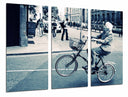Tríptico Hipster Original Anciana Bicibleta Vintage, Blanco y Negro