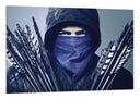 Cuadro robbin hood, arquero, imagen animada