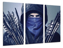 Tríptico robbin hood, arquero, imagen animada