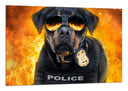 Cuadro show dogs, perro policia