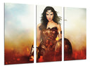 Tríptico wonder woman, DC, superheroe
