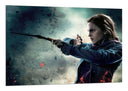 Cuadro harry potter, hermione