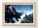 Cuadro enmarcado natural harry potter, nimbus 2000