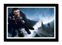 Cuadro enmarcado negro harry potter, nimbus 2000