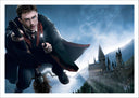 Lámina harry potter, nimbus 2000