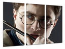 Tríptico harry potter, daniel radcliffe