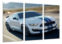 Tríptico Ford Shelby GT350,blanco con dos rallas azules