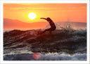 Lámina surfista cogiendo la ola, atardecer, playa, deporte