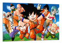 Cuadro Videojuego Aniversario Dragon Ball, Akira Toriyama, Japón