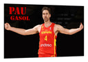 Cuadro Baloncesto, Pau Gasol, España