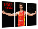 Tríptico Baloncesto, Pau Gasol, España