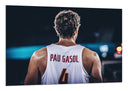 Cuadro Baloncesto, España, Pau Gasol