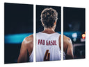 Tríptico Baloncesto, España, Pau Gasol