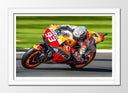 Cuadro enmarcado blanco Moto GP, 93, Repsol, Marc Marquez