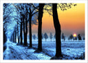 Lámina paisaje bosque helado ,atardecer,camino,naturaleza