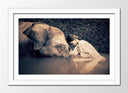 Cuadro enmarcado blanco niña con elefante, color sepia, ternura, decoracion, animal