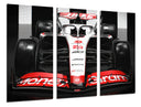 Tríptico Fórmula 1, Haas VF-23