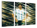 Tríptico Futbol, Maradona, Argentina