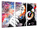 Tríptico Arte callejero, grafiti mono en colores, banksy