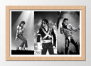 Cuadro enmarcado natural Michael Jackson Pop