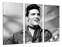 Tríptico Elvis Presley
