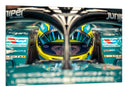 Cuadro Formula 1 2024, Aston Martin AMR24, Fernando Alonso