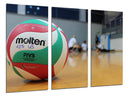 Tríptico pelota de volleyball