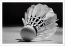 Lámina badminton, volante en blanco y negro