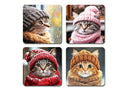 gatos gorros de invierno