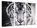 ANIMALES