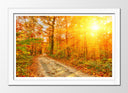 Cuadro enmarcado blanco paisaje bosque atardecer,naturaleza